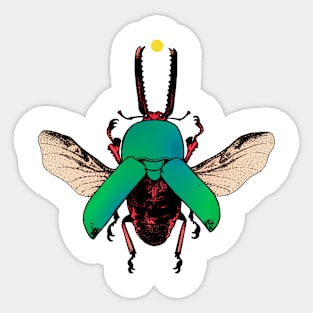 Sun's Beetle Sticker